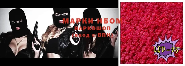 шишки Вязьма