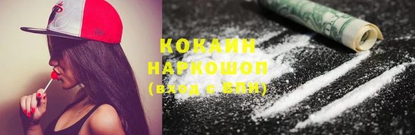 шишки Вязьма