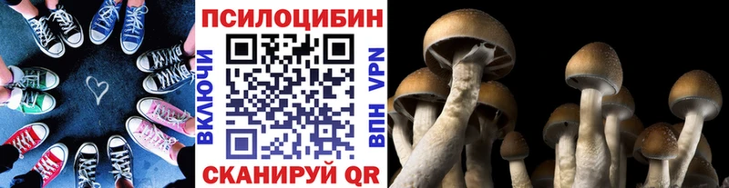 Галлюциногенные грибы GOLDEN TEACHER  MEGA маркетплейс  Емва 